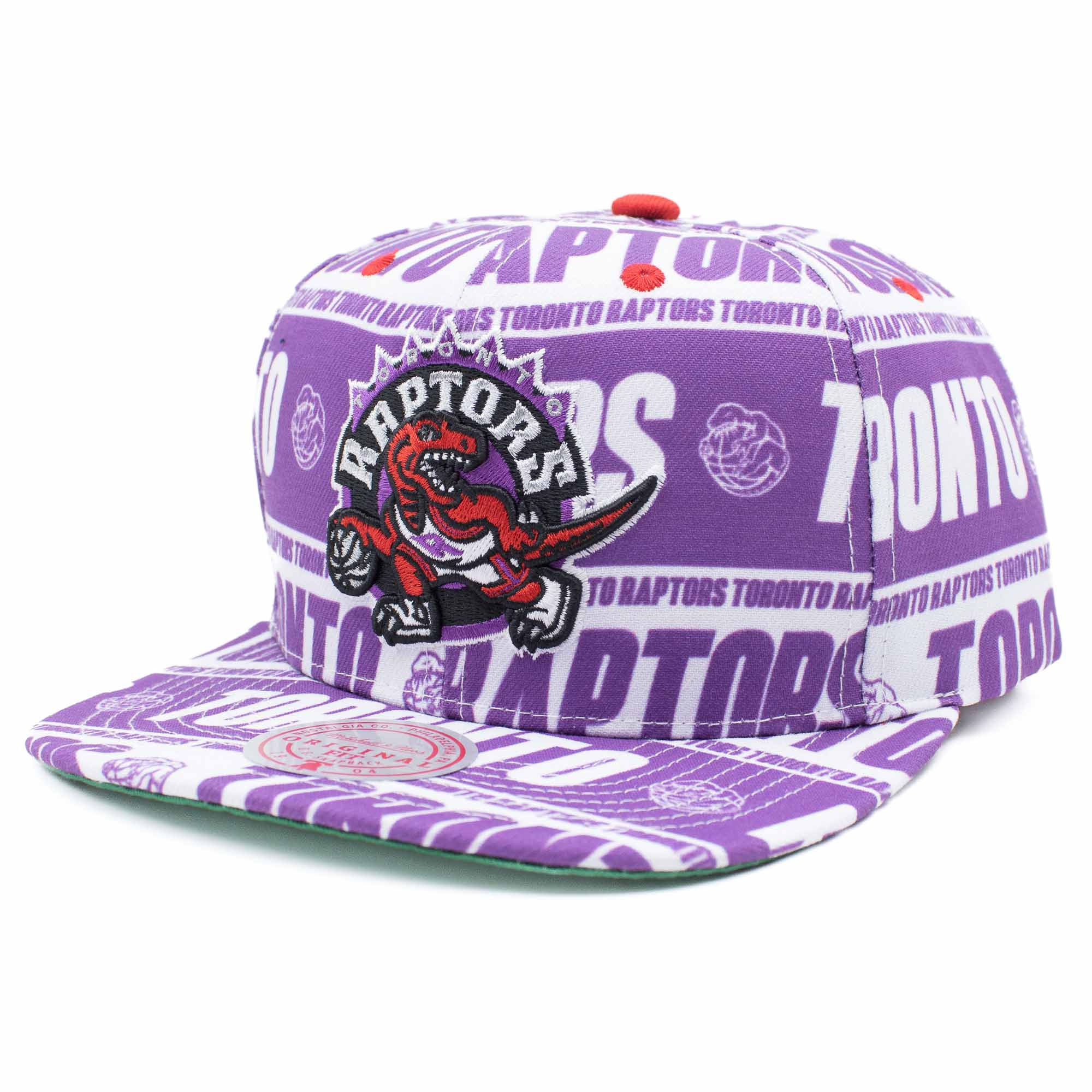 Toronto Raptors Meat Paper Snapback NBA Cap Purple
