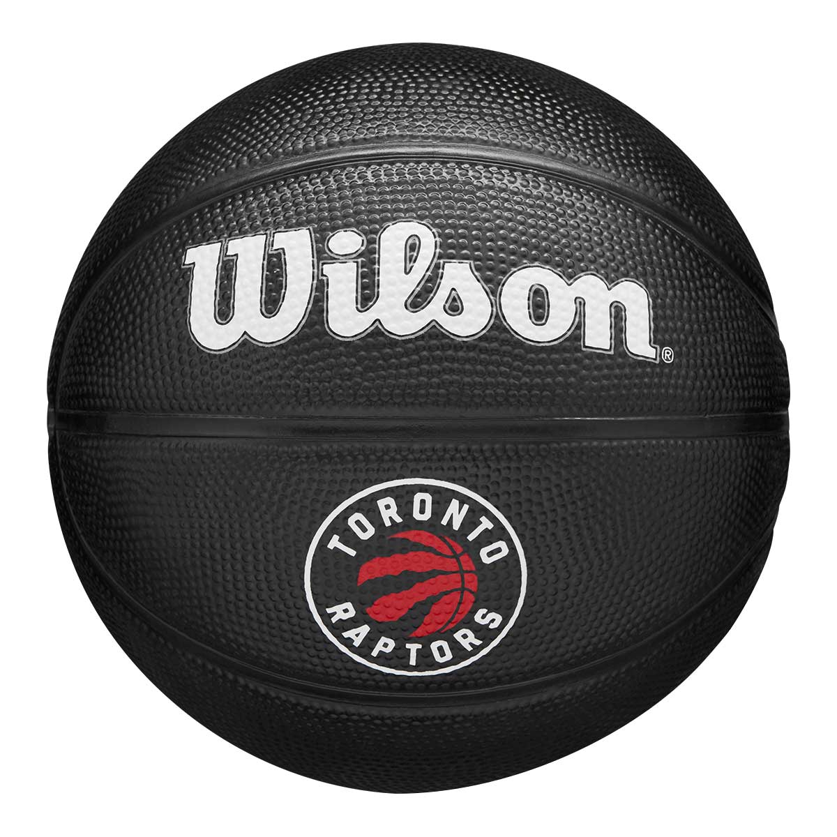 Toronto Raptors Tribute Wilson NBA Mini Basketball (Size 3)