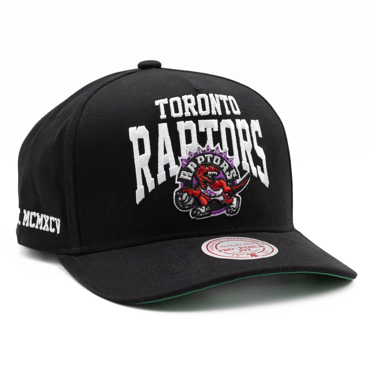 Toronto Raptors Big Time Mitchell & Ness Pro Pinch Snapback NBA Cap