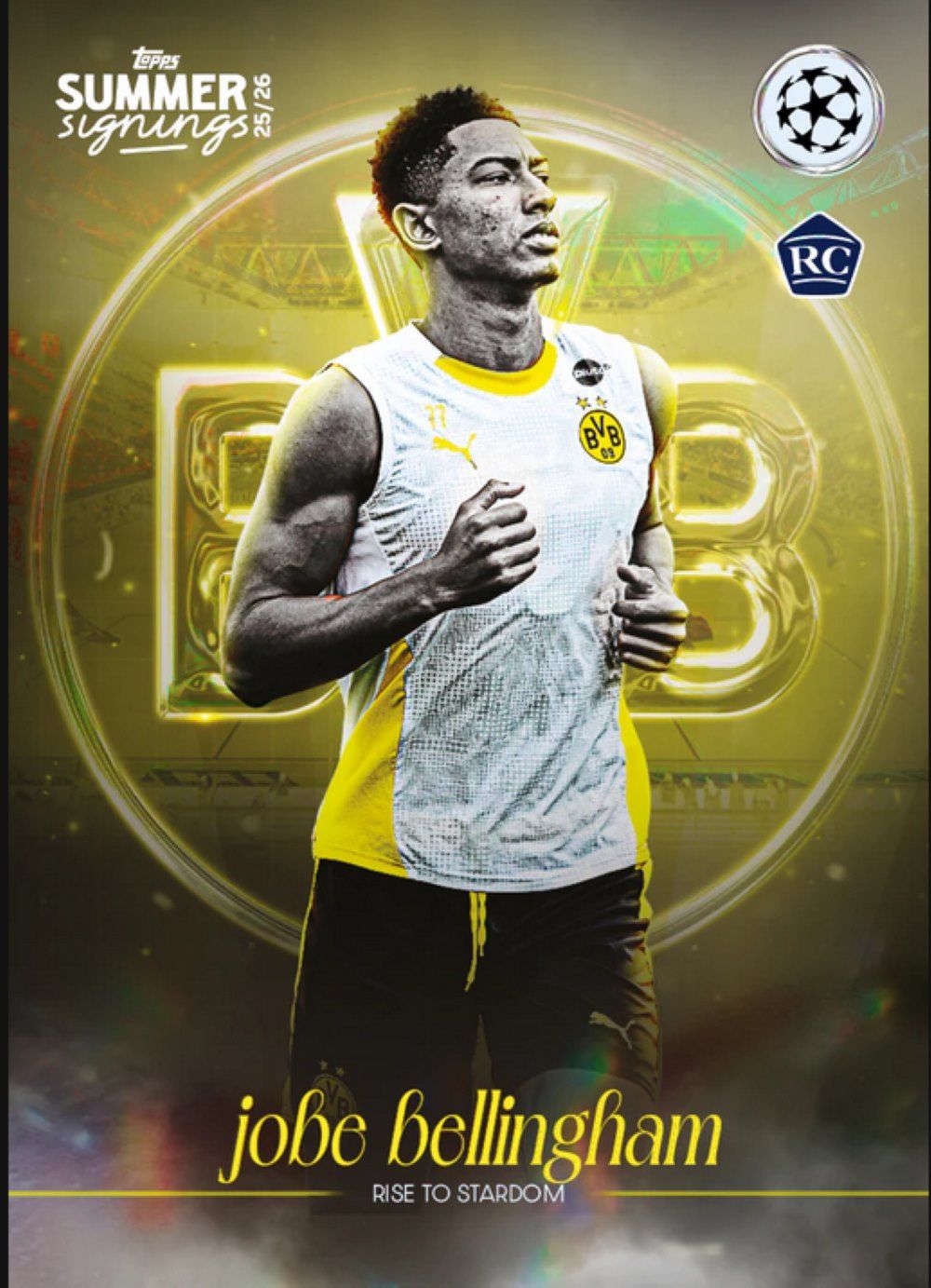 Erwachsener, Männlich, Mann, Person, T-shirt