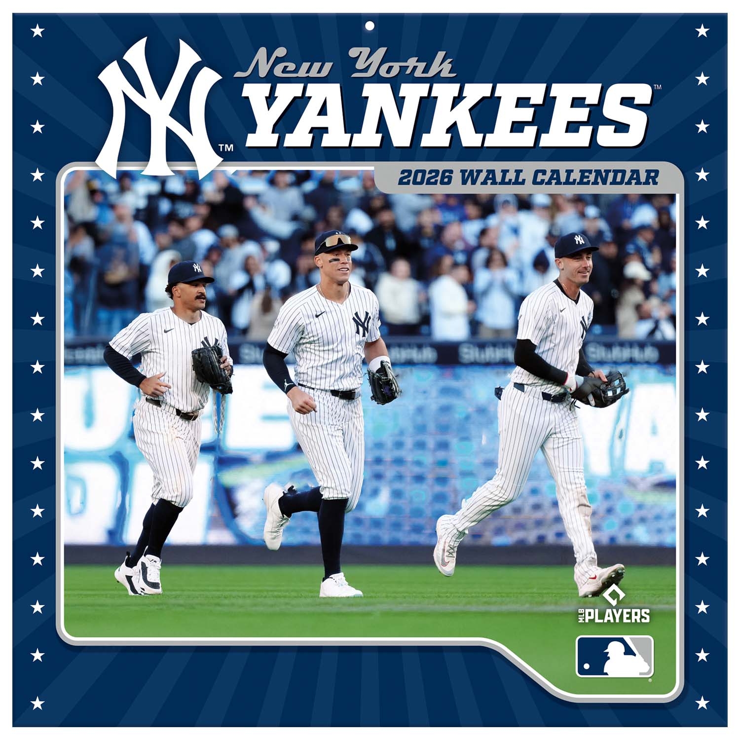 People, Team, Glove, Shoe, Team Sport