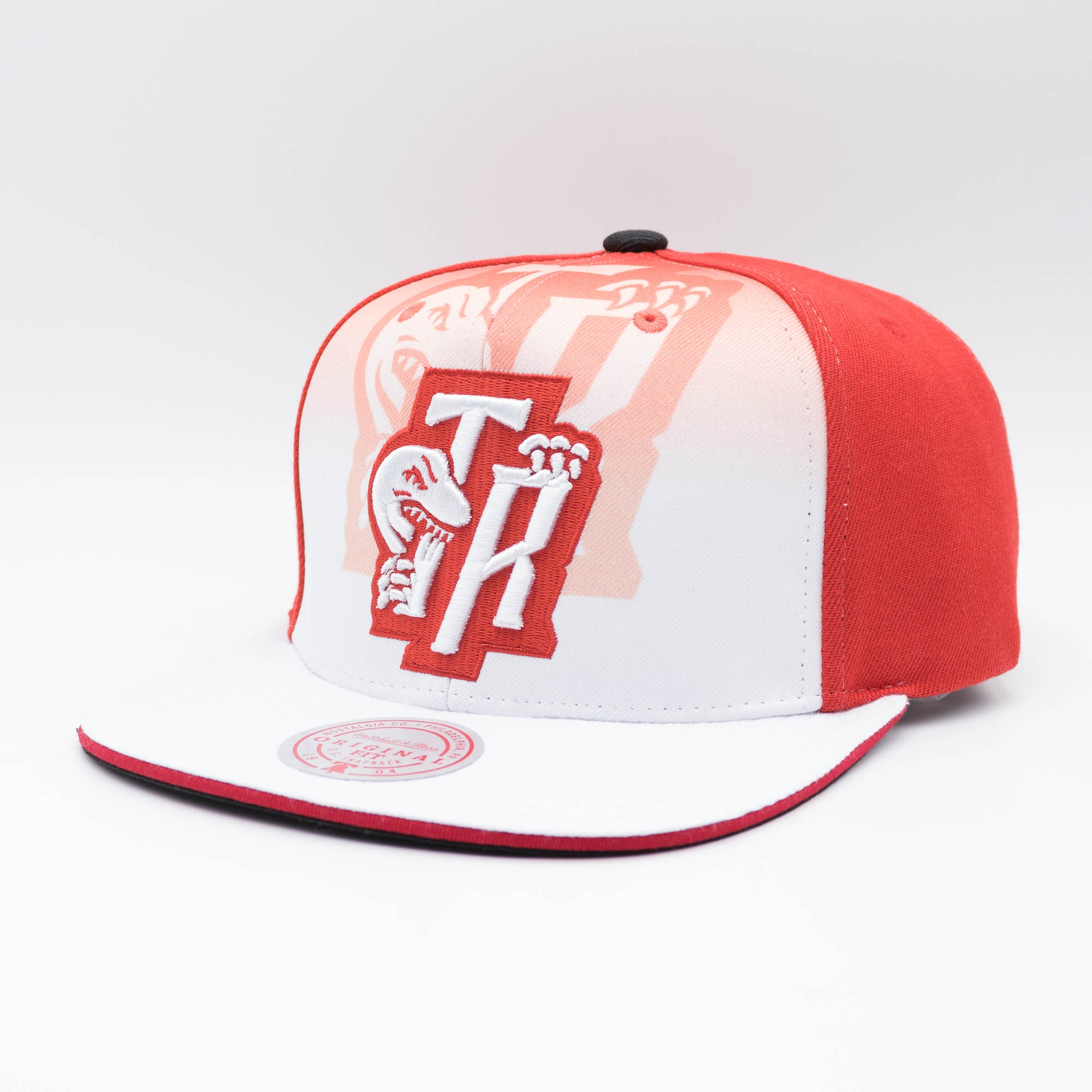 Toronto Raptors 2011 NBA Draft Mitchell & Ness Original Fit Snapback Cap