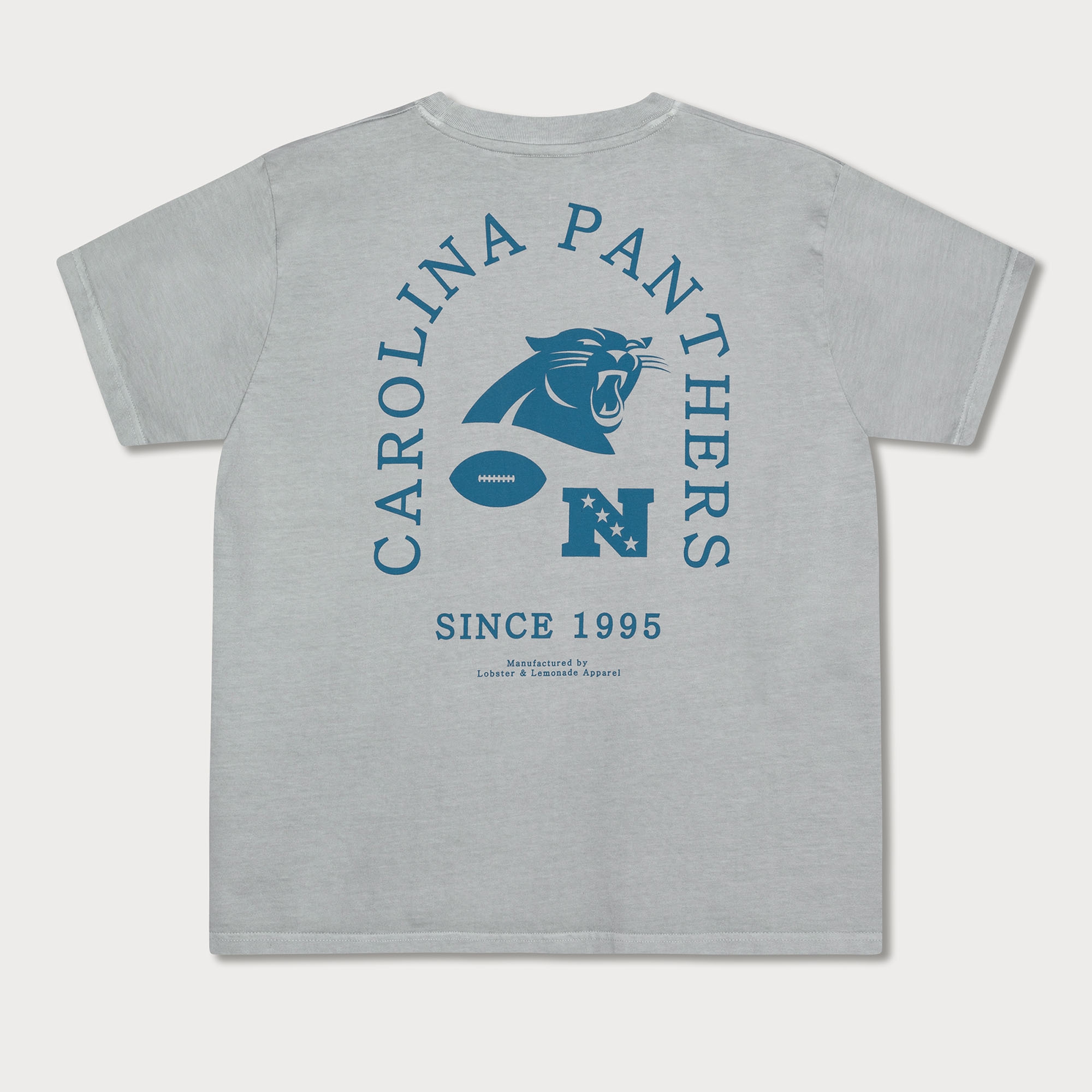 Carolina Panthers L&L '89 Classics NFL T-Shirt Grau