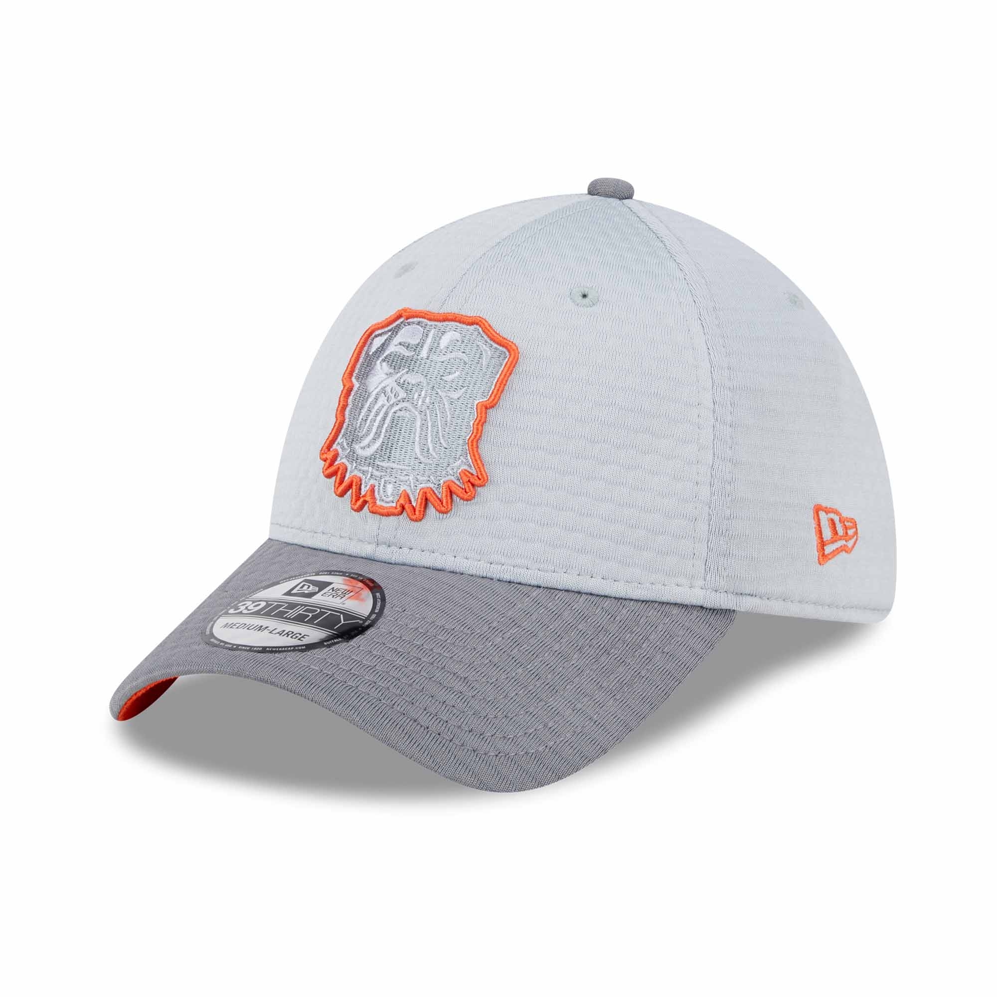 Cleveland Browns 2024 NFL Training Camp New Era 39THIRTY Flex Cap Grau