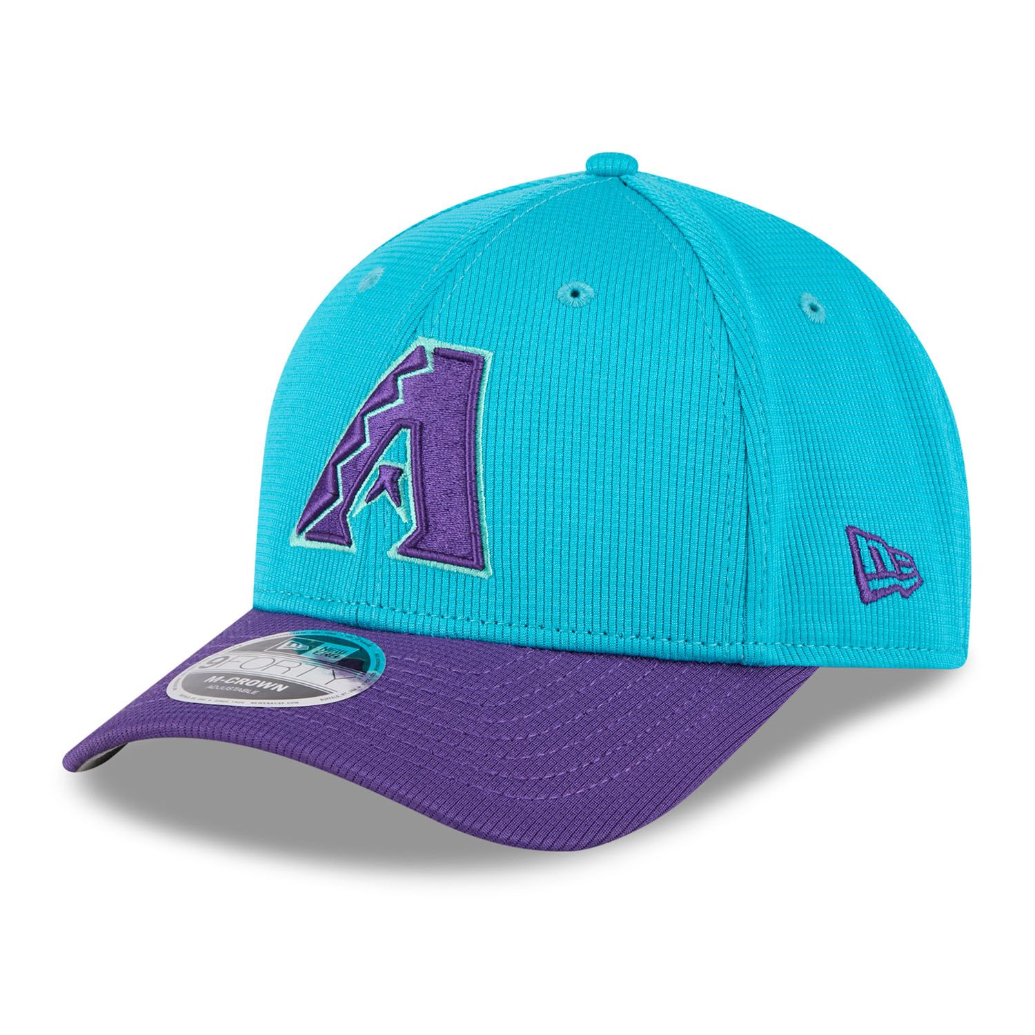 Arizona Diamondbacks 2025 MLB Batting Practice City Connect 9FORTY M-Crown Snapback Cap