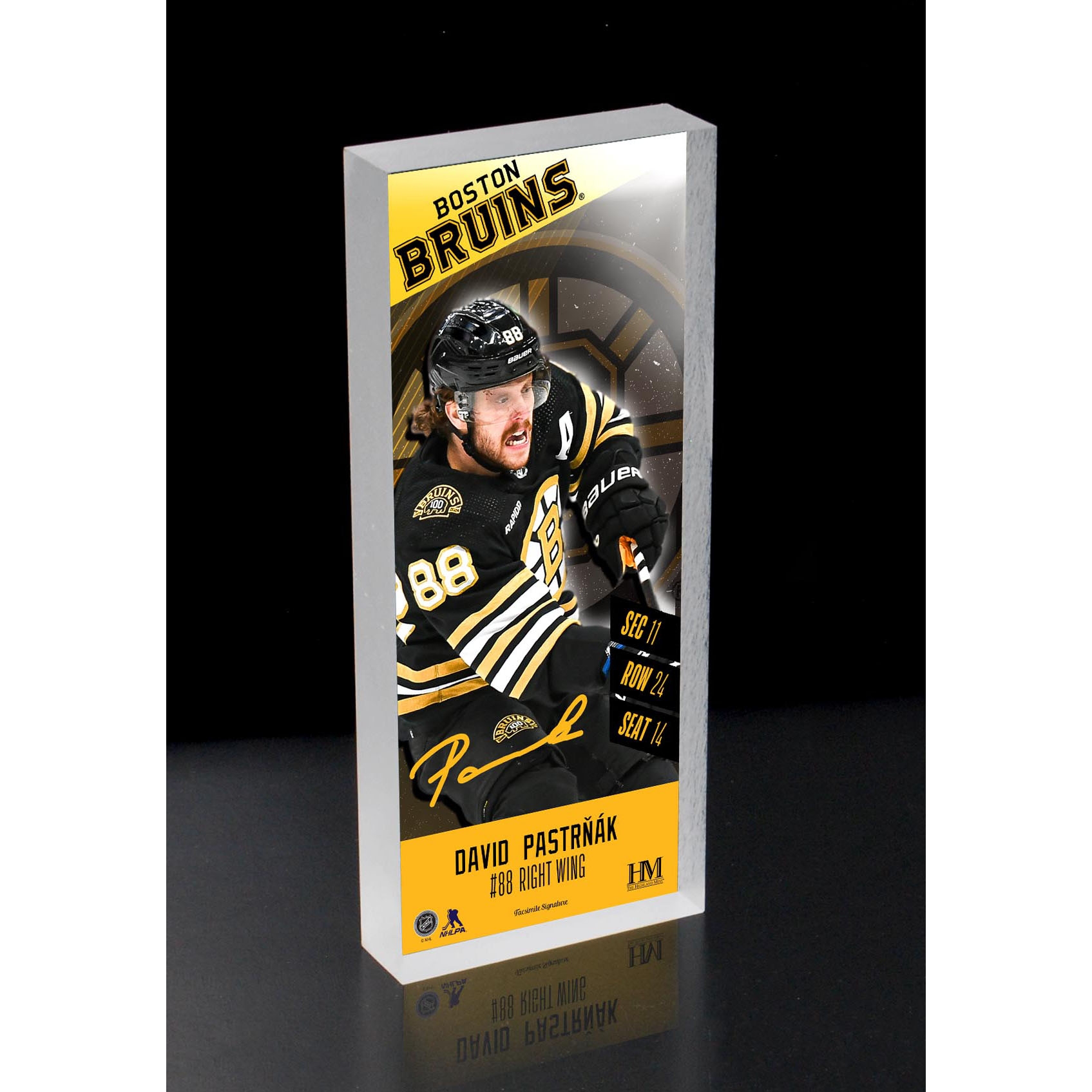 David Pastrnak Boston Bruins NHL Player Ticket 3D Block Art