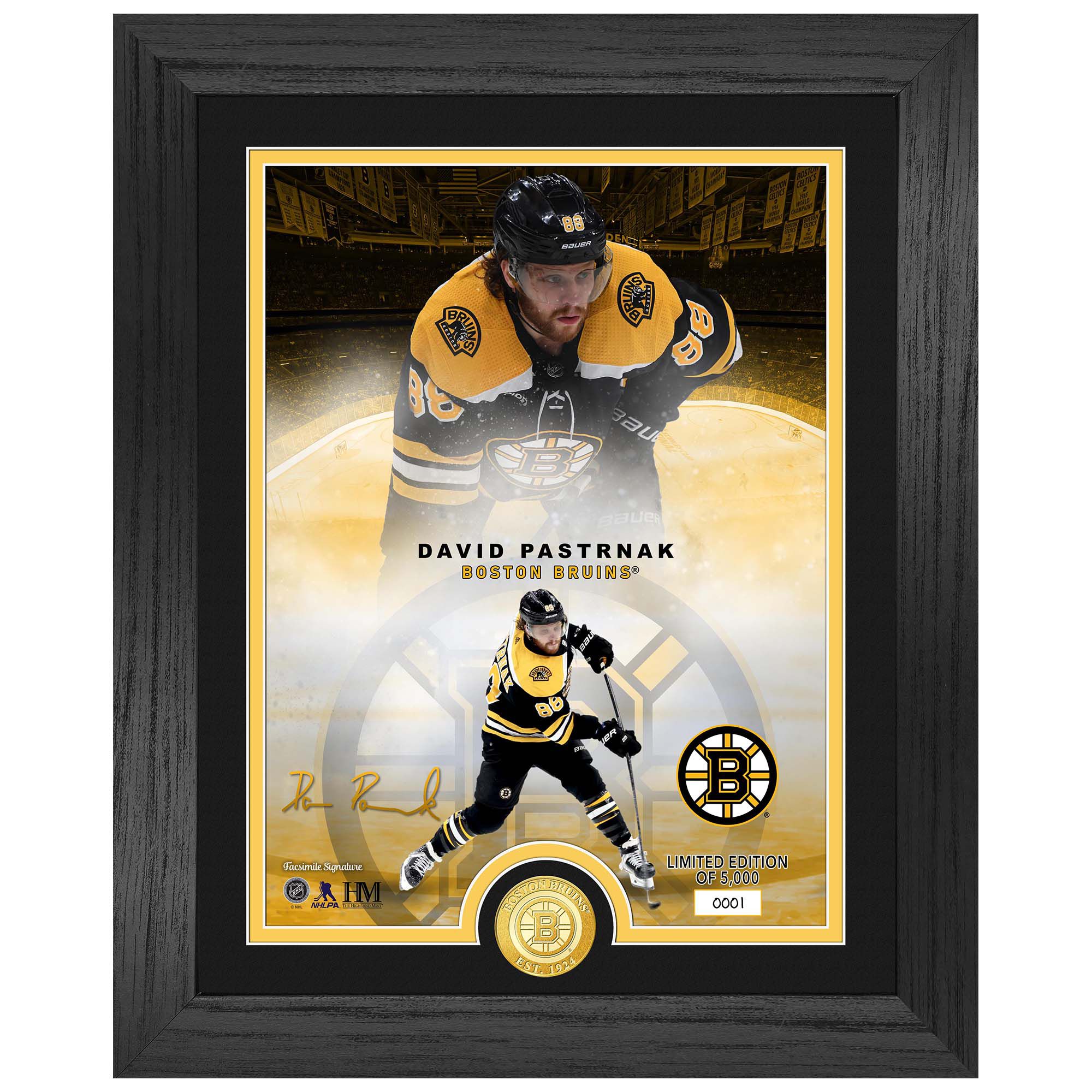 David Pastrnak Boston Bruins Bronze Coin Framed NHL Photo