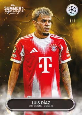 Hemd, T-shirt, Erwachsener, Mann, Person