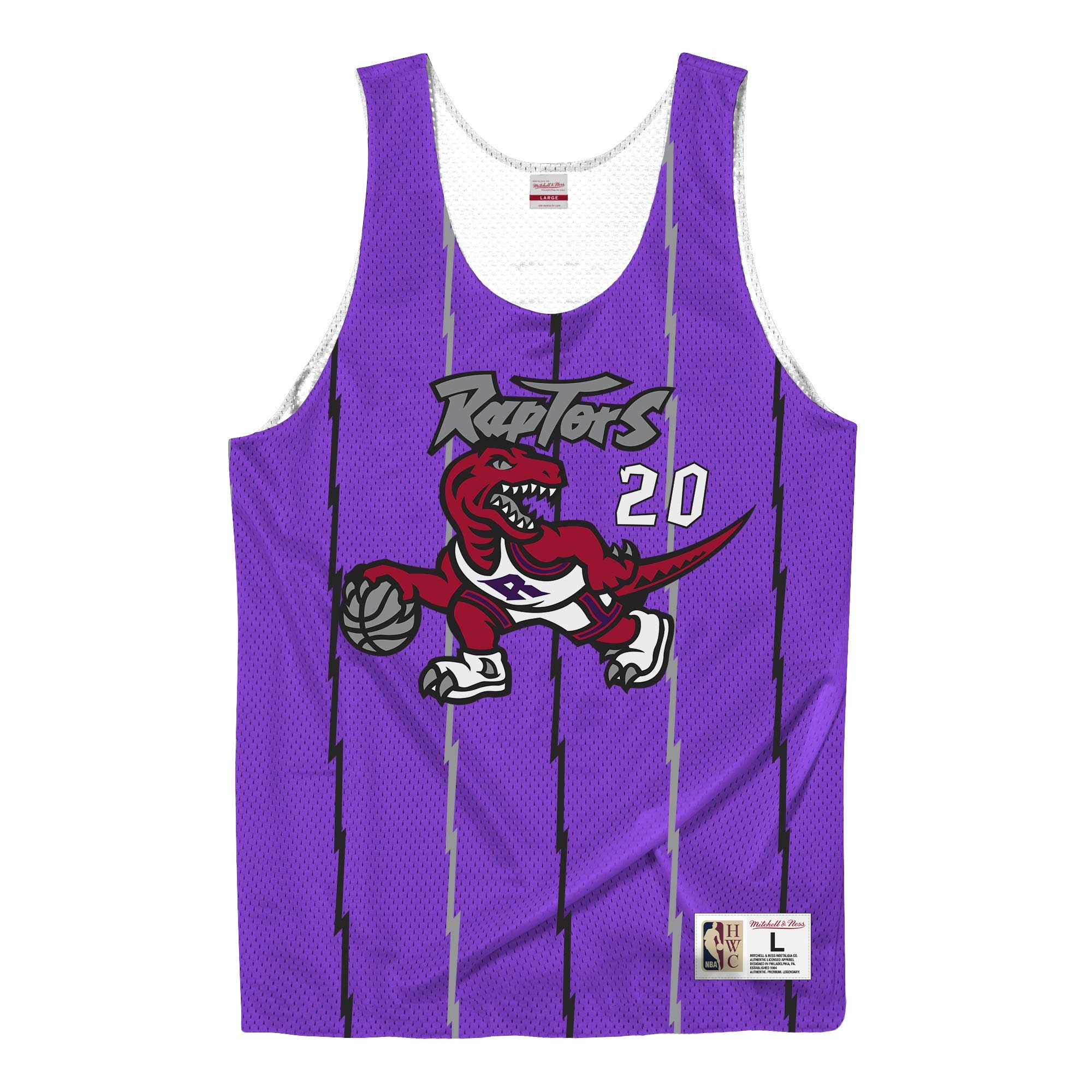 Damon Stoudemire #20 Toronto Raptors Mitchell & Ness NBA Reversible Mesh Jersey