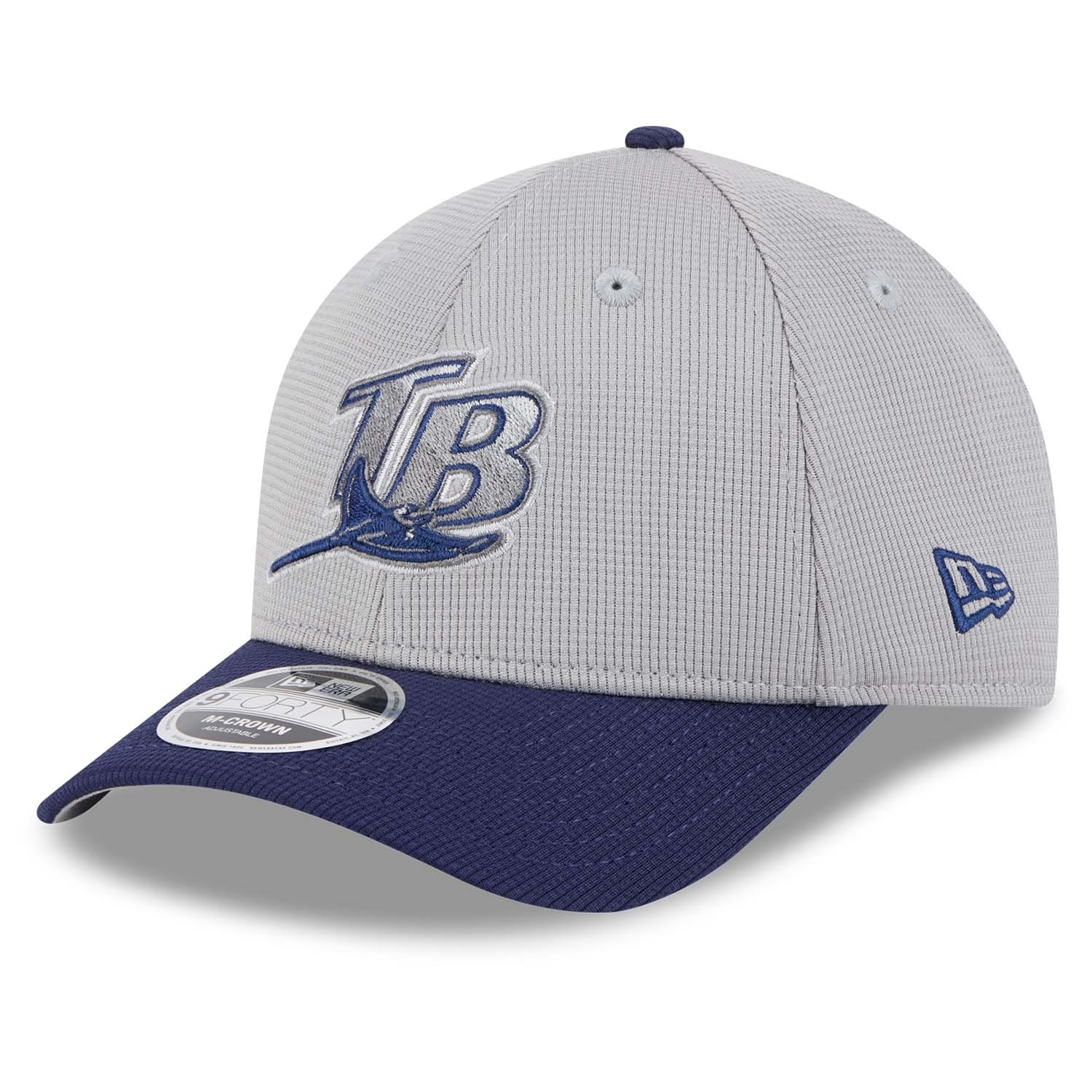 Tampa Bay Rays Colorway 2025 MLB Batting Practice 9FORTY M-Crown Snapback Cap Grau