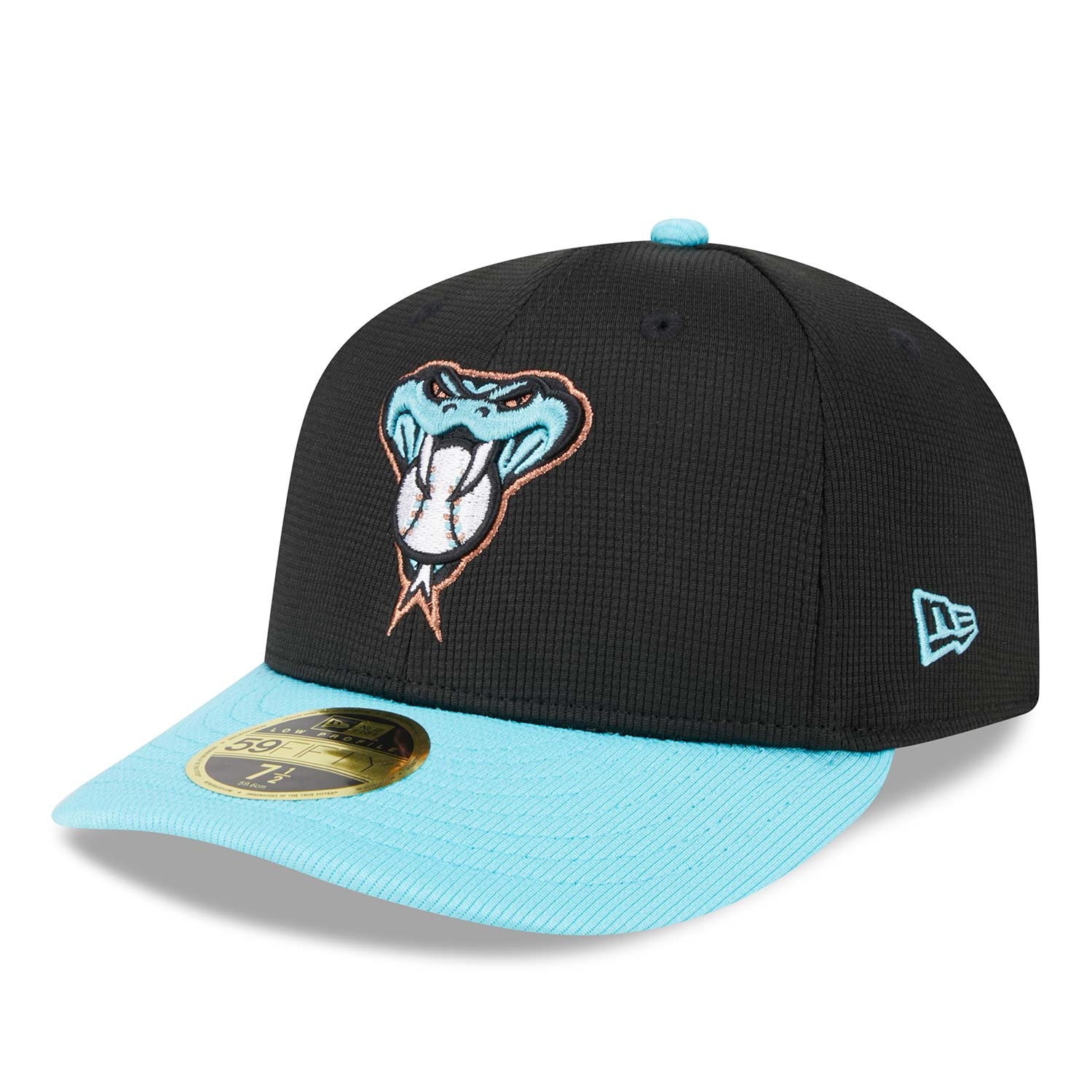 Arizona Diamondbacks 2025 MLB Batting Practice New Era Low Profile 59FIFTY Fitted Cap