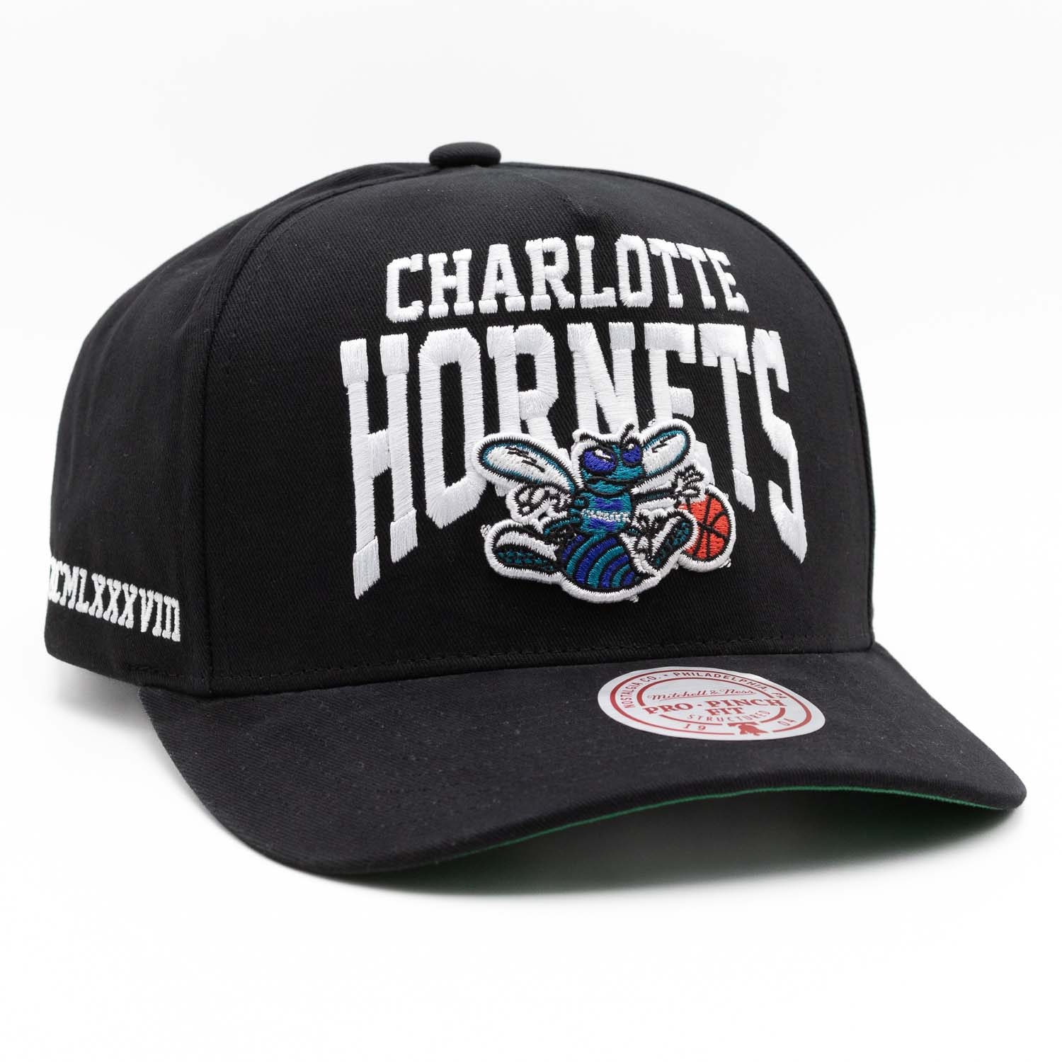 Charlotte Hornets Big Time Mitchell & Ness Pro Pinch Snapback NBA Cap