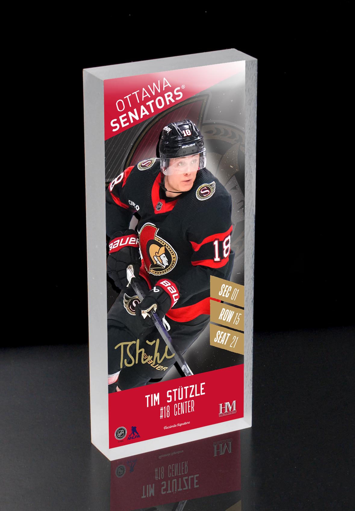 Ottawa Senators Edmonton Oilers NHL Player Ticket 3D Block Art